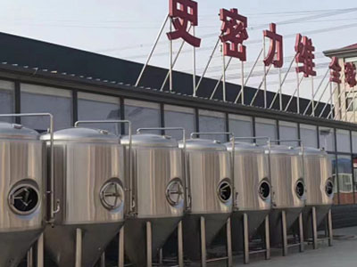 拉萨精酿啤酒设备厂—如何判断精酿啤酒设备的密封件需要更换?